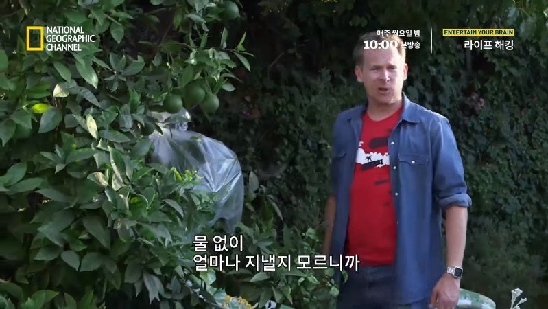 극한 재난 상황에서 물을 구하는 방법_14.jpg
