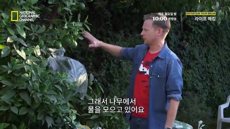 극한 재난 상황에서 물을 구하는 방법_16.jpg