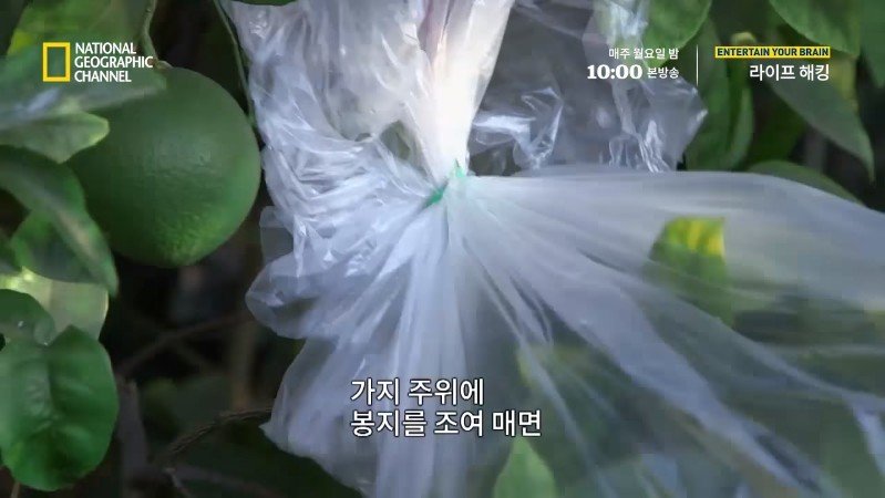 극한 재난 상황에서 물을 구하는 방법_18.jpg