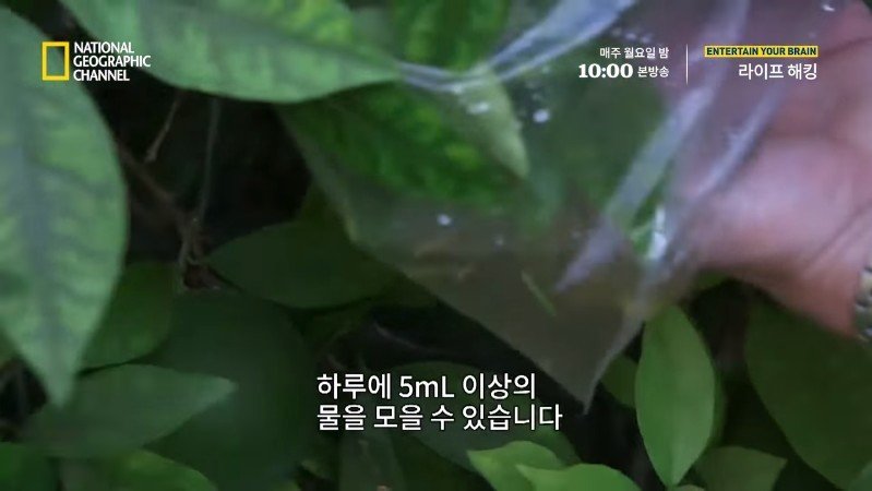 극한 재난 상황에서 물을 구하는 방법_19.jpg
