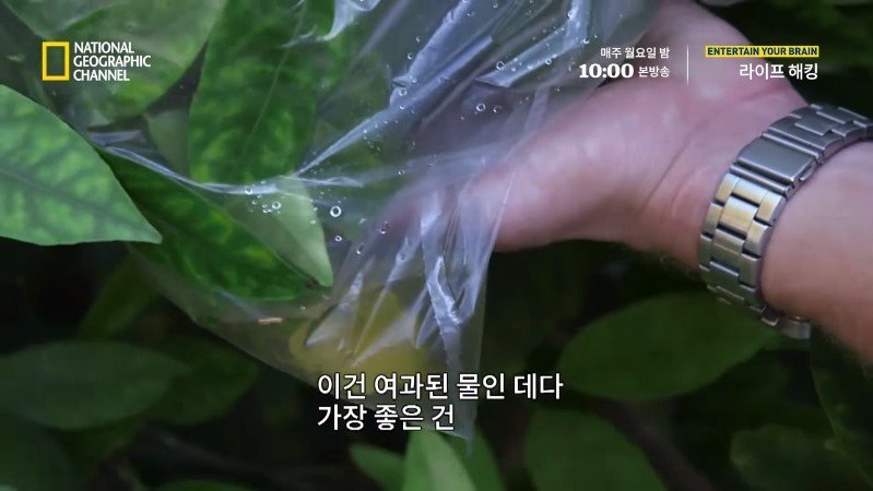 극한 재난 상황에서 물을 구하는 방법_20.jpg