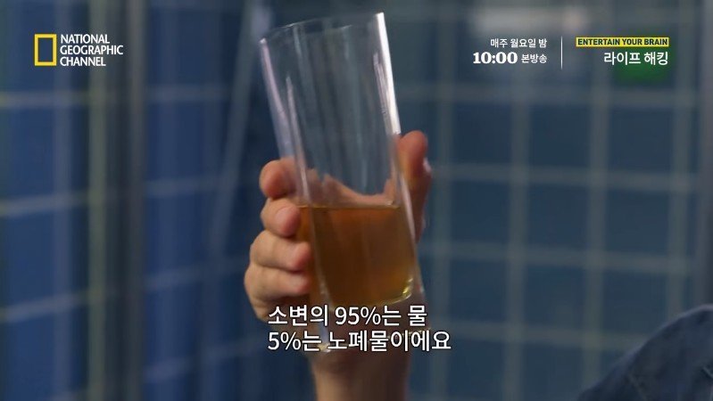 극한 재난 상황에서 물을 구하는 방법_36.jpg
