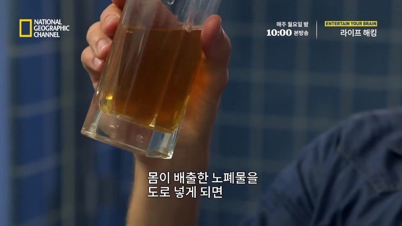 극한 재난 상황에서 물을 구하는 방법_37.jpg
