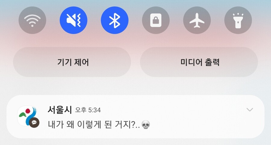 자괴감을 호소하는 서울시_1.jpg