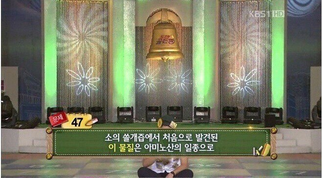 전설의 골든벨 오답.jpg_1.jpg