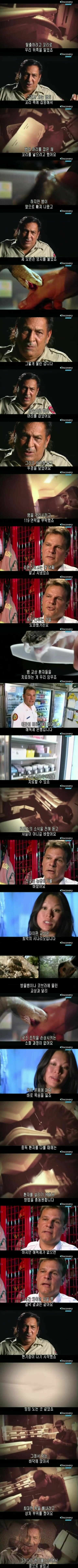 [극혐] 최악의 날에 뱀한테 물린 사람.jpg_2.jpg
