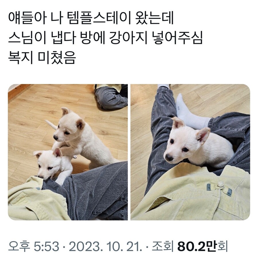불교신자가 아니라도 템플스테이 가고 싶은 절_1.jpeg