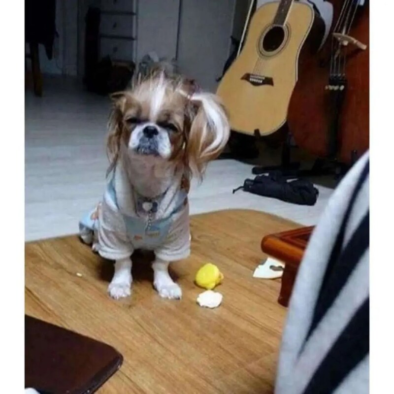 자다 일어난 갱얼쥐들.jpg_3.png