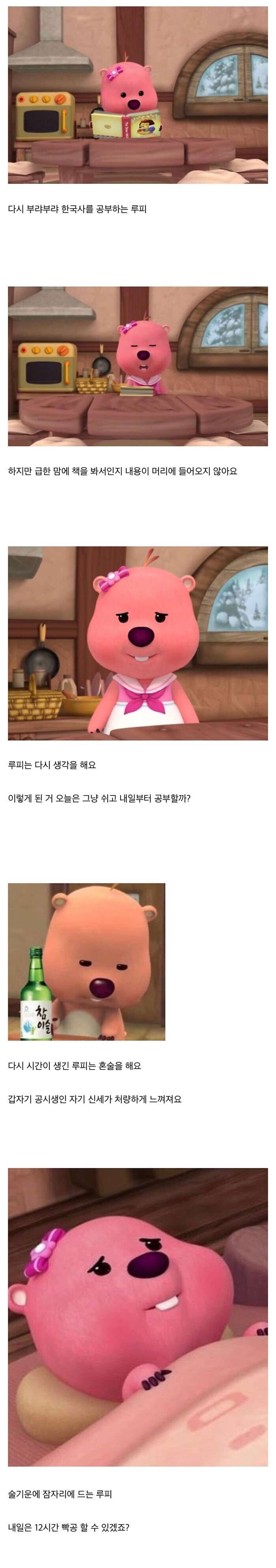 공시생 루피의 행복한 하루_4.jpg