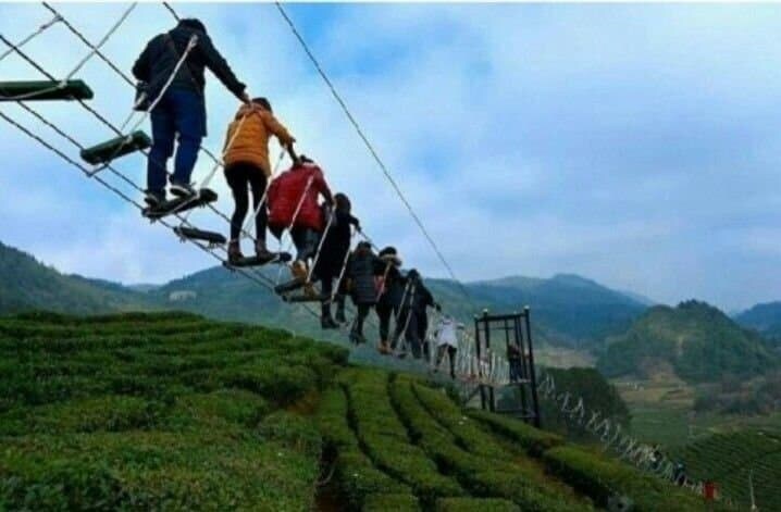 중국의 녹차밭 관광코스 ㄷㄷㄷㄷ_1.jpg
