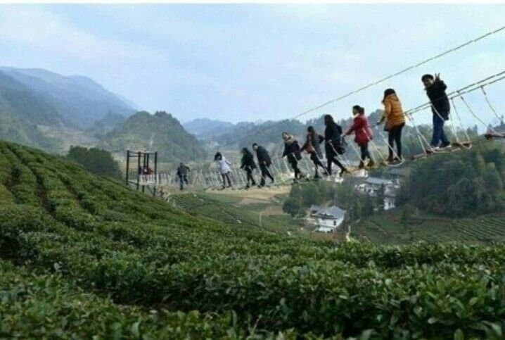 중국의 녹차밭 관광코스 ㄷㄷㄷㄷ_3.jpg