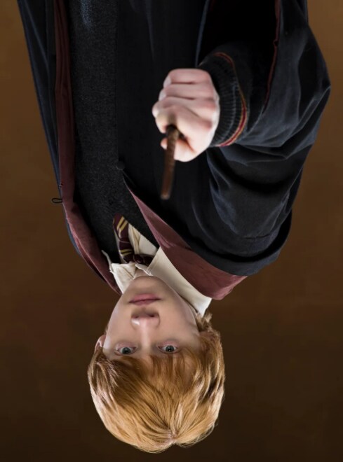 굴_1.png