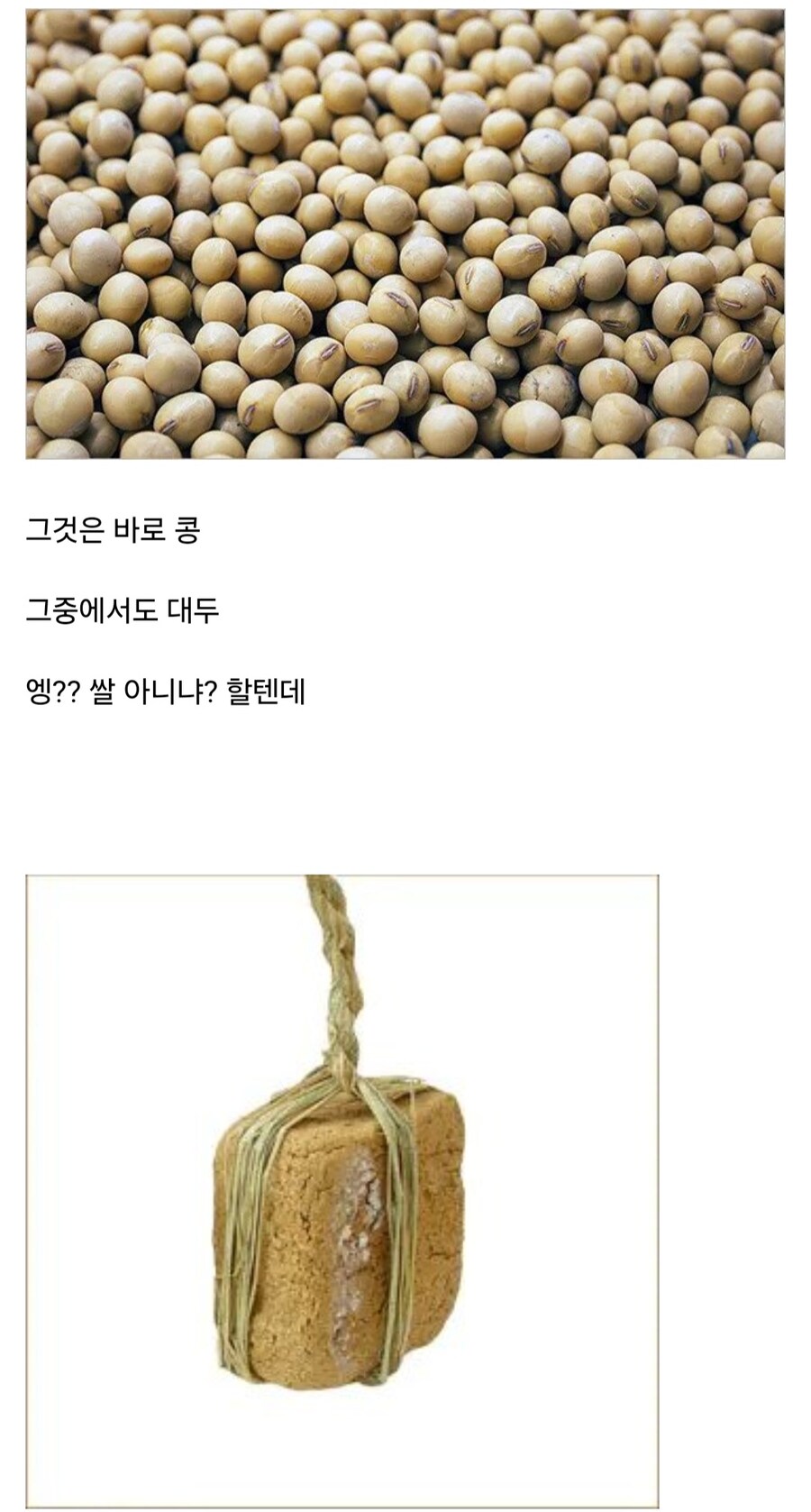 동아시아에서 가장 중요한 식재료_1.jpg