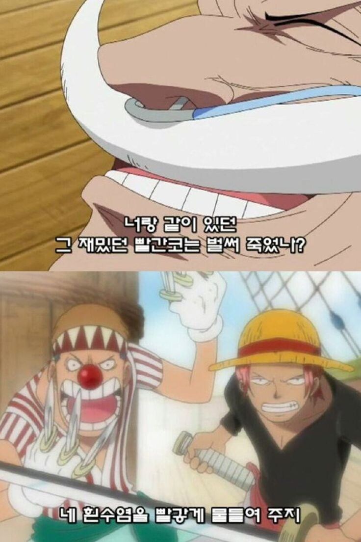 원피스 루피만 부정하는 사실_5.jpg
