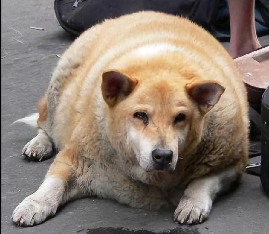 호불호 갈리는 몸매_3.jpg