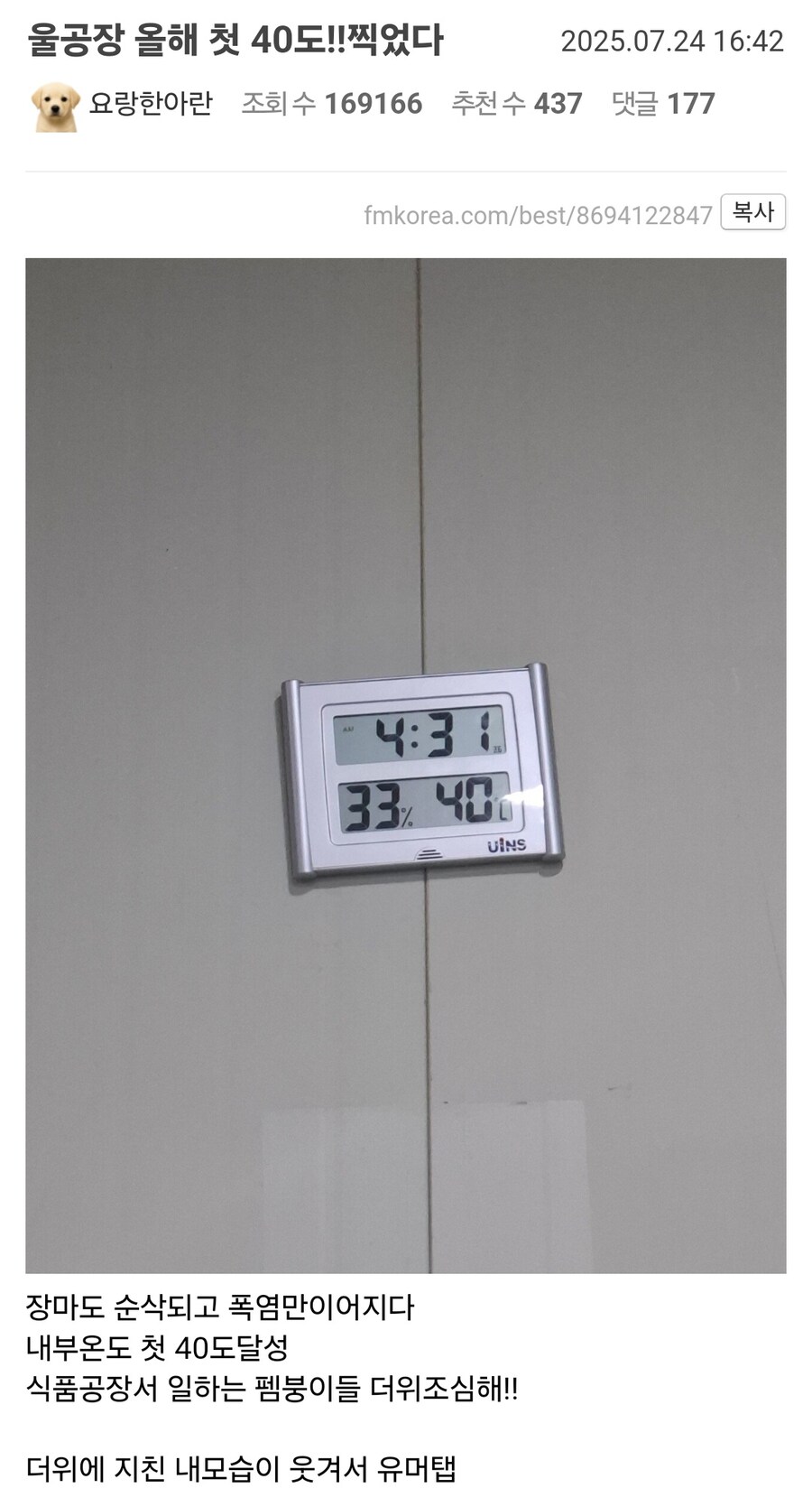 공장 내부온도 40도 찍은 펨붕이_1.jpg