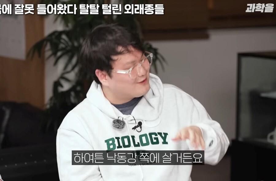 한국에서 적극적으로 보호중인
