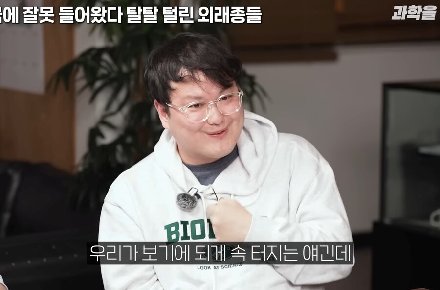 한국에서 적극적으로 보호중인
