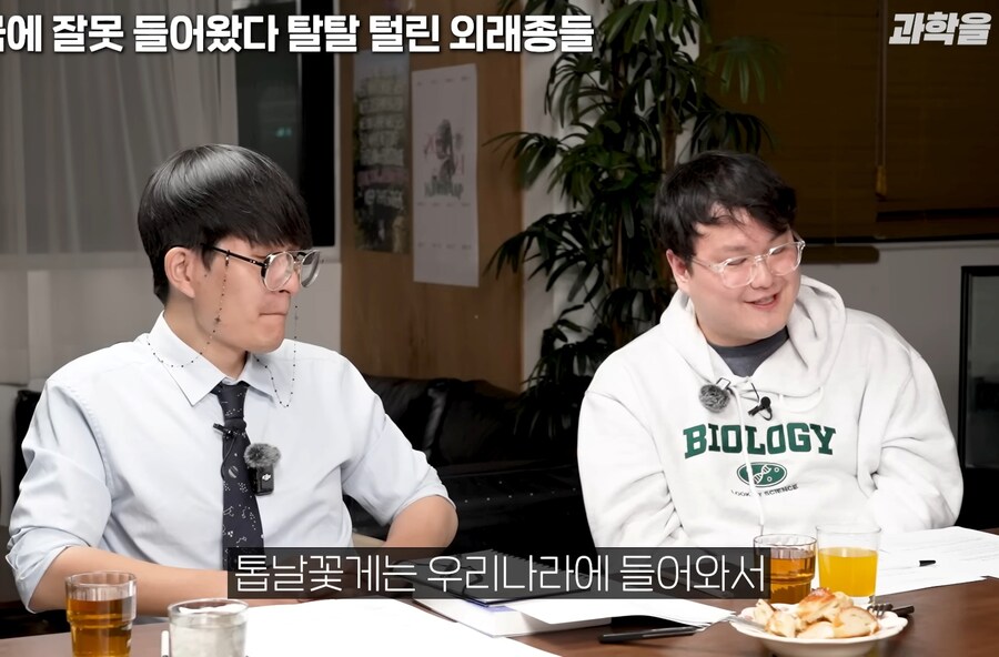 한국에서 적극적으로 보호중인