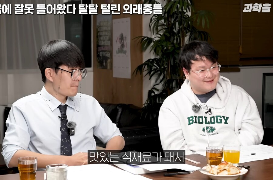 한국에서 적극적으로 보호중인