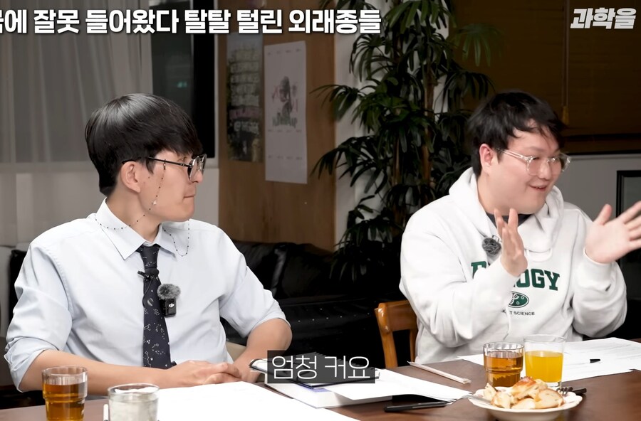 한국에서 적극적으로 보호중인