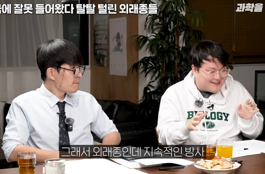 한국에서 적극적으로 보호중인