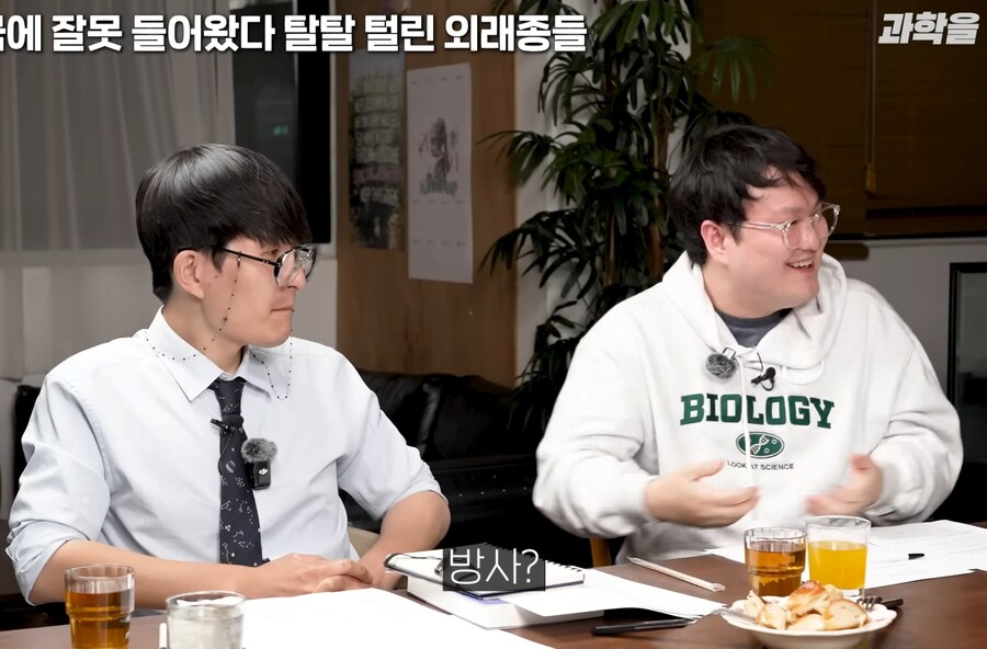 한국에서 적극적으로 보호중인