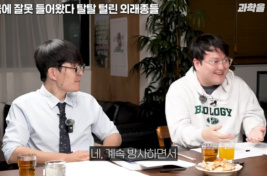 한국에서 적극적으로 보호중인