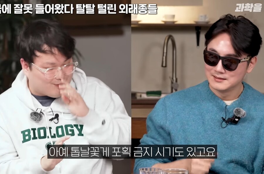 한국에서 적극적으로 보호중인