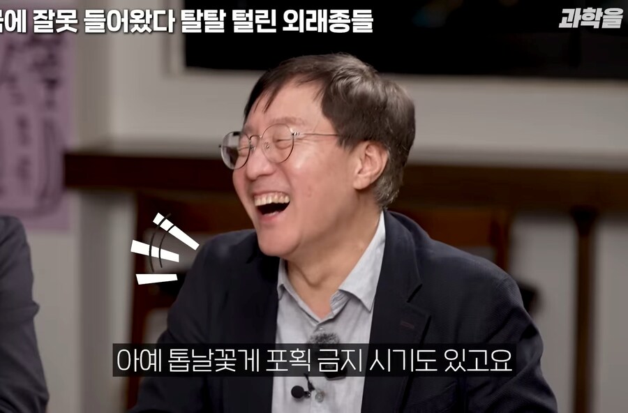 한국에서 적극적으로 보호중인