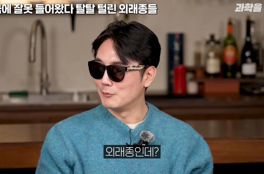 한국에서 적극적으로 보호중인