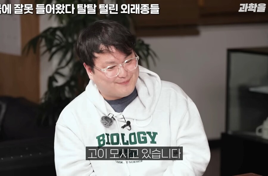 한국에서 적극적으로 보호중인