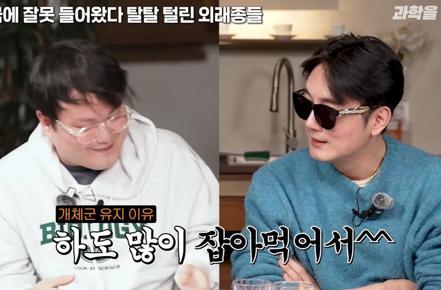 한국에서 적극적으로 보호중인