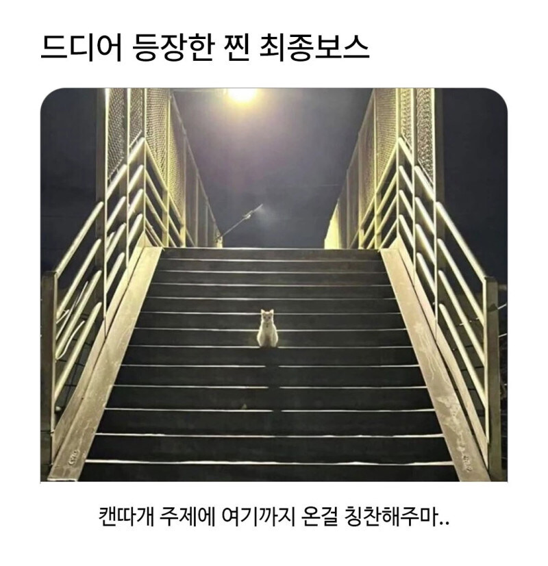 히든보스 등장씬.jpg_1.jpg