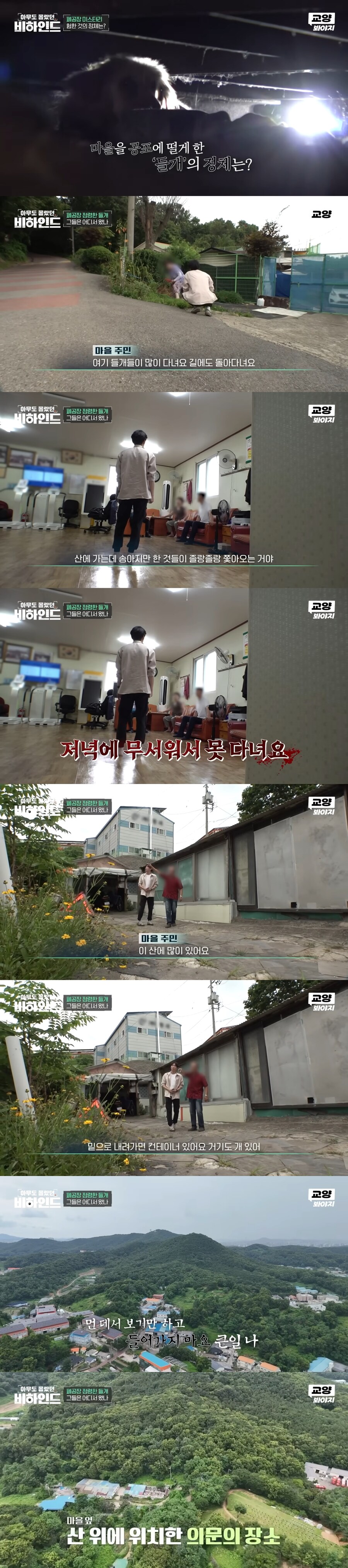 폐공장에 버려진 들개를 구조하는 사람들_1.jpg