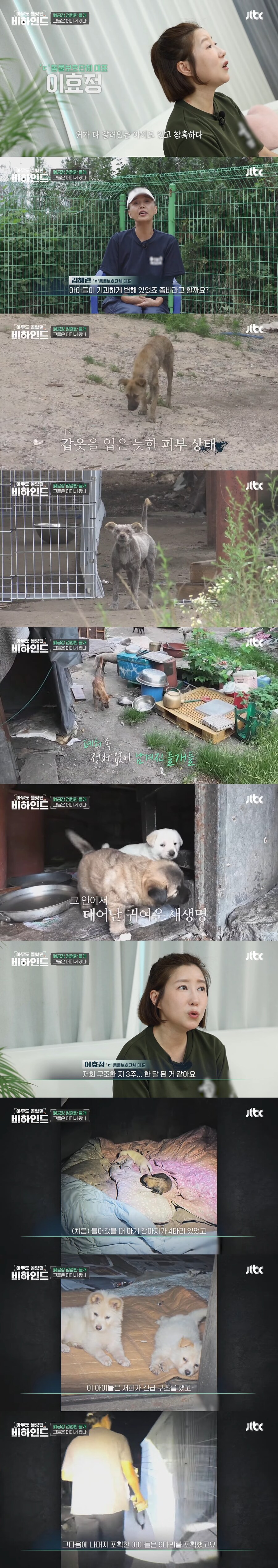 폐공장에 버려진 들개를 구조하는 사람들_3.jpg