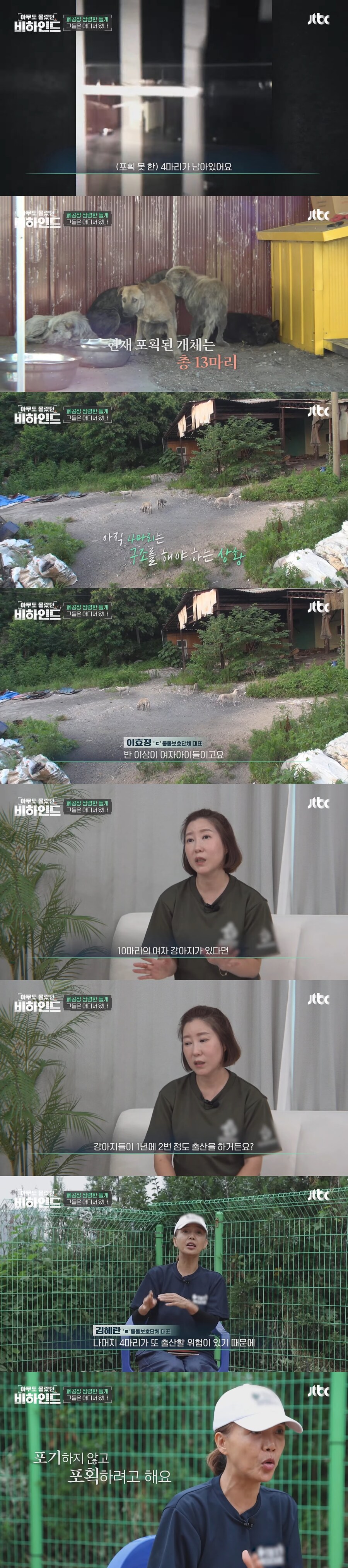 폐공장에 버려진 들개를 구조하는 사람들_4.jpg