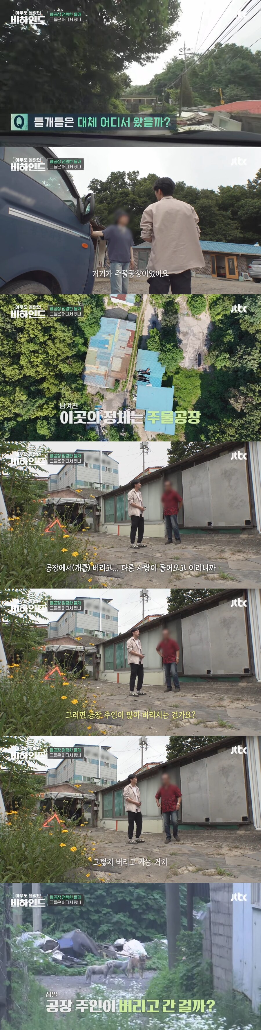 폐공장에 버려진 들개를 구조하는 사람들_7.jpg