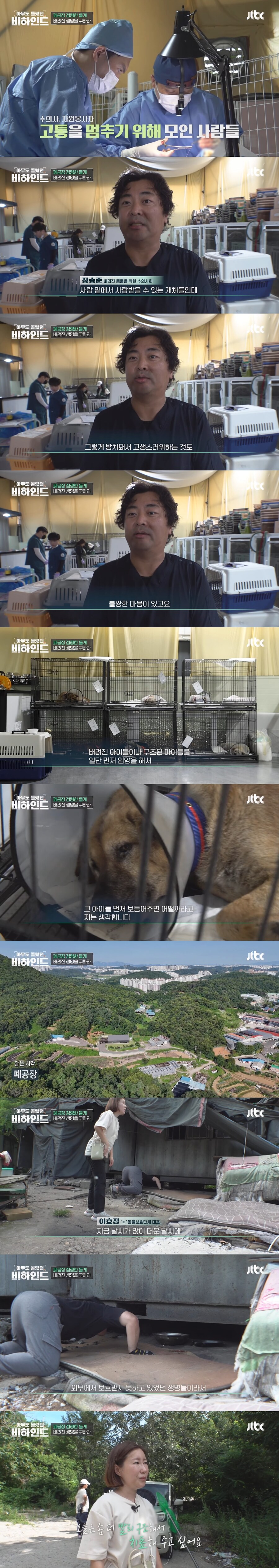 폐공장에 버려진 들개를 구조하는 사람들_10.jpg