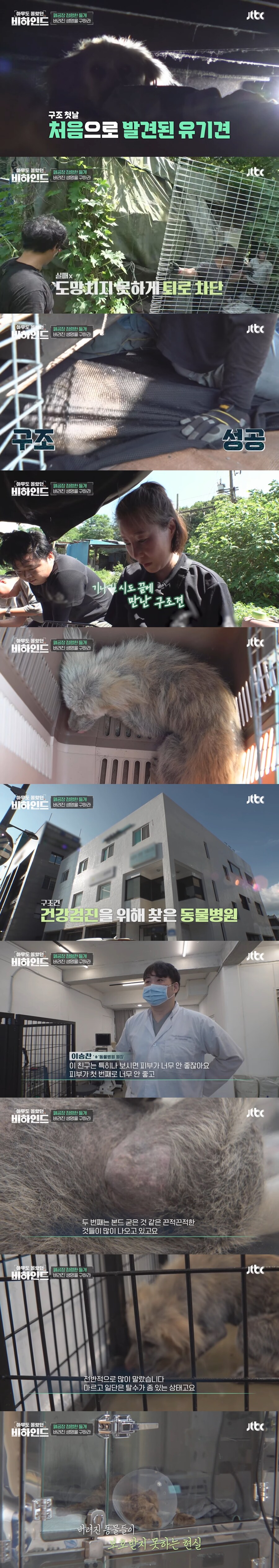 폐공장에 버려진 들개를 구조하는 사람들_11.jpg