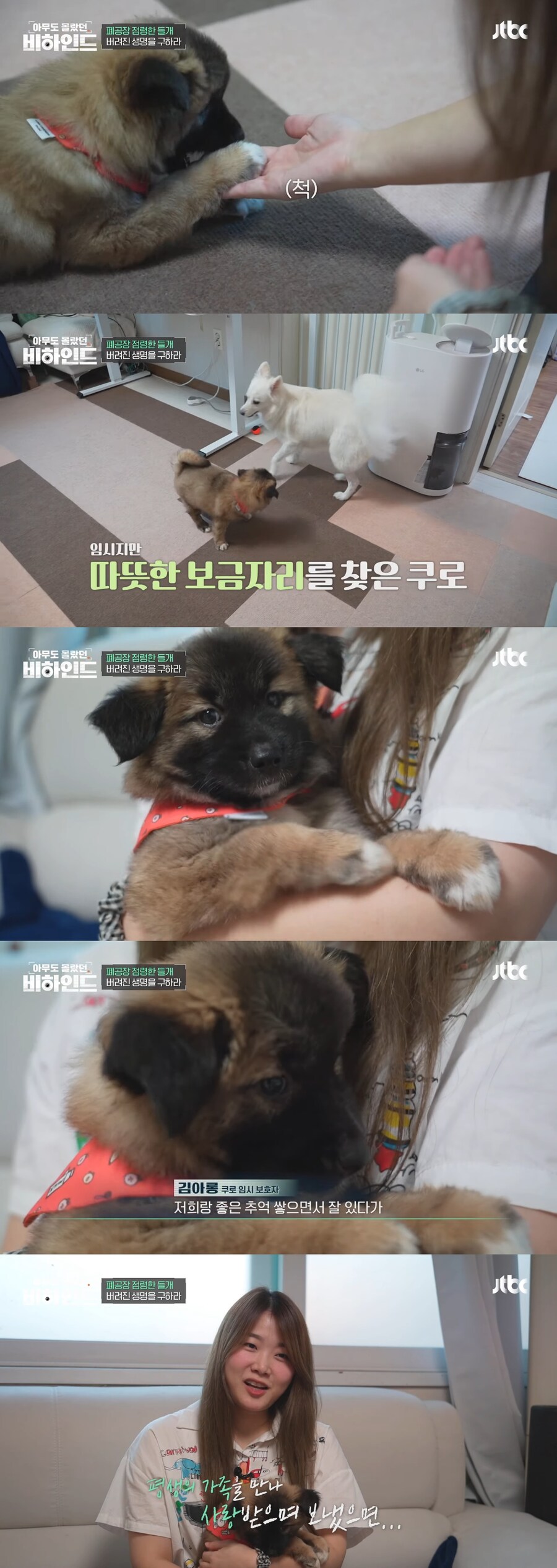 폐공장에 버려진 들개를 구조하는 사람들_13.jpg