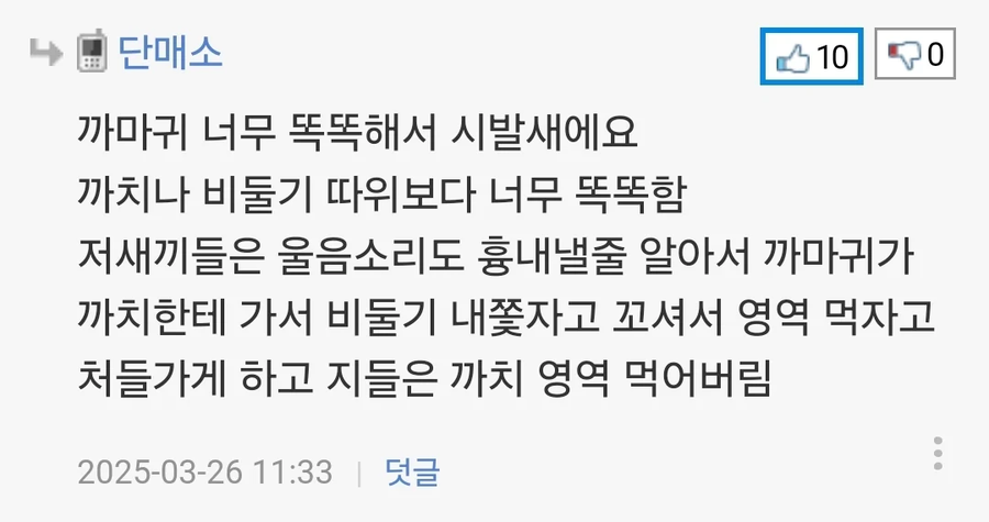높은 까마귀의 지능 jpg._2.webp
