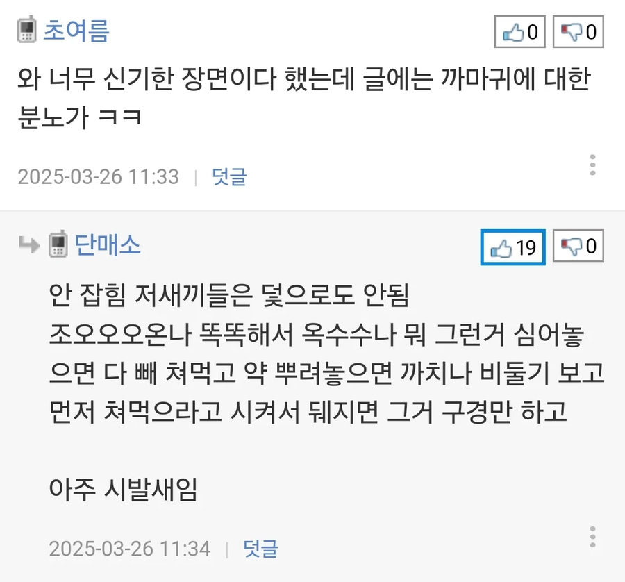 높은 까마귀의 지능 jpg._3.webp