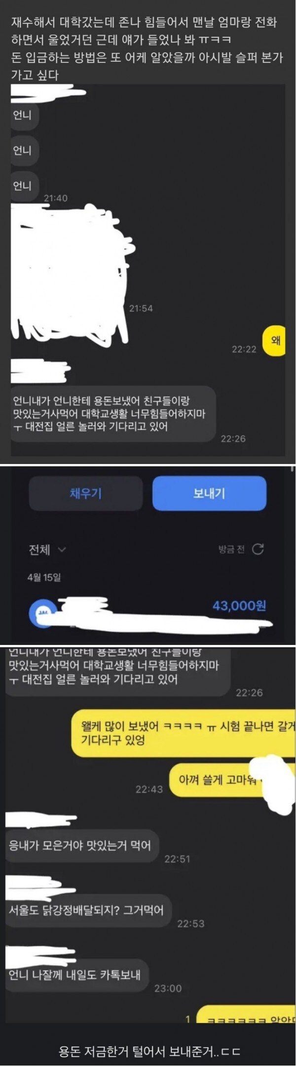 초등학생 동생이 언니가 걱정돼서 돈보냄_1.png