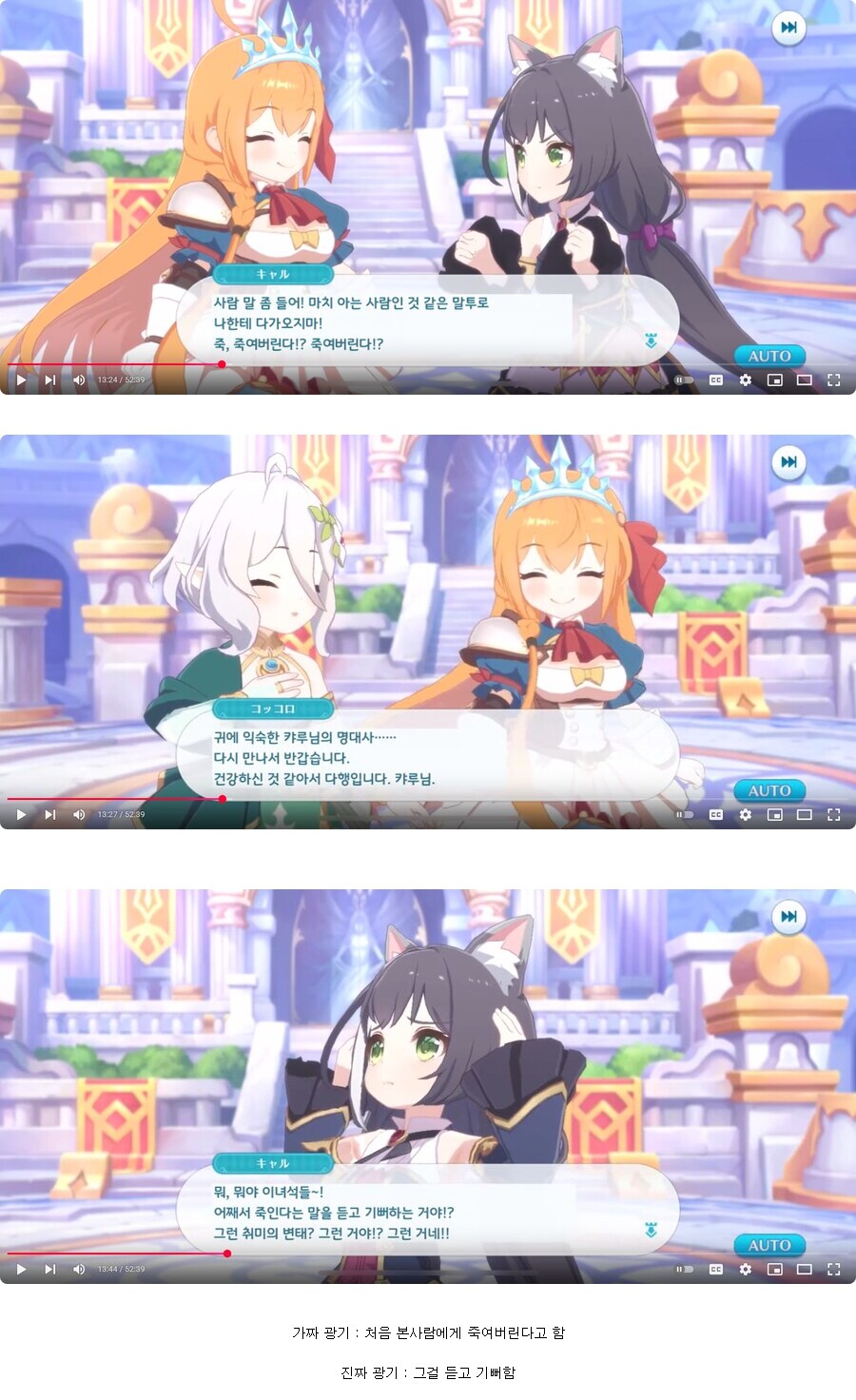 프리코네의 가짜광기 vs 진짜광기_1.png