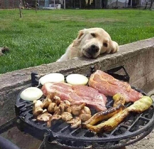 *** : 사람 음식좀 먹는다고 안죽어요_1.jpg