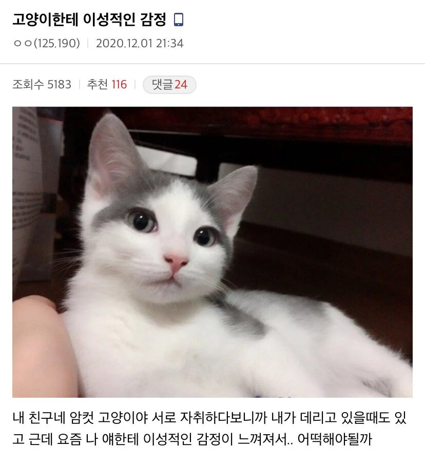 이성적인 감정_1.jpg