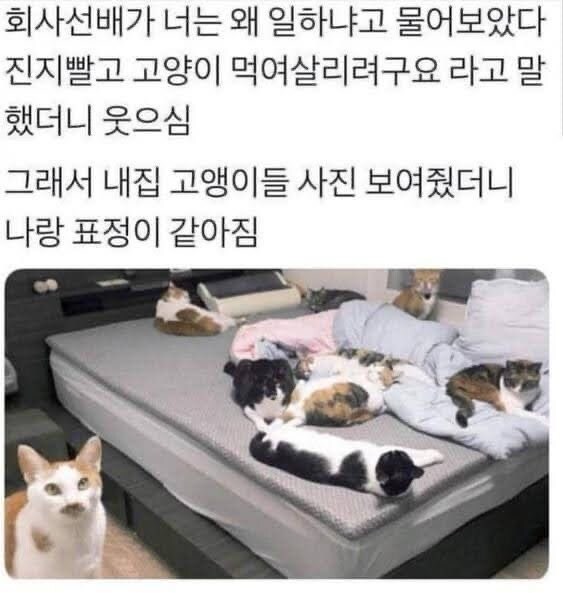 가족들을 먹여살리려 힘쓰는 가장_1.jpg