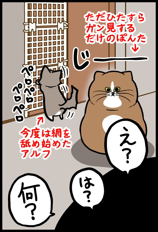 고양이 잘알 작가들이 그리는 고양이 특징_6.png