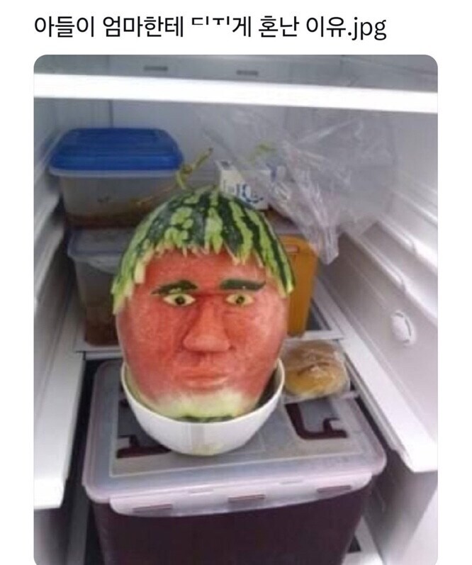 엄마가 냉장고열었다가 소리지른이유_1.jpg